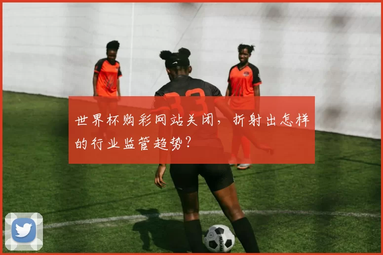 世界杯购彩网站关闭，折射出怎样的行业监管趋势？