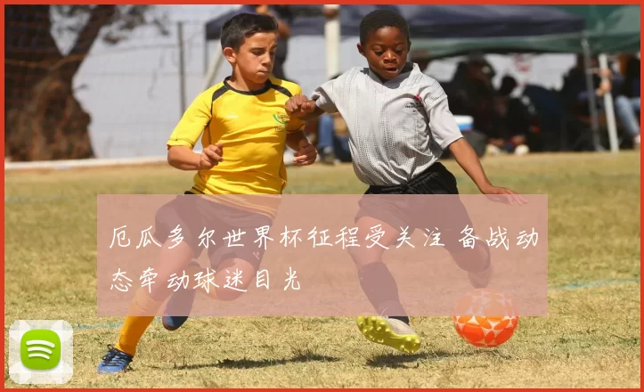 厄瓜多尔世界杯征程受关注 备战动态牵动球迷目光