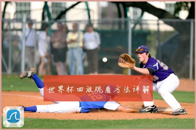 世界杯回放观看方法详解