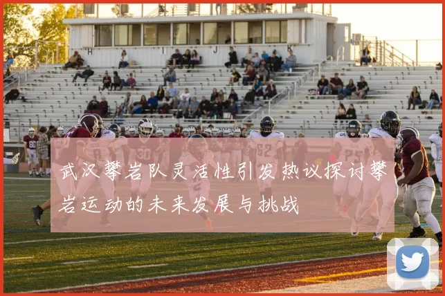 武汉攀岩队灵活性引发热议探讨攀岩运动的未来发展与挑战