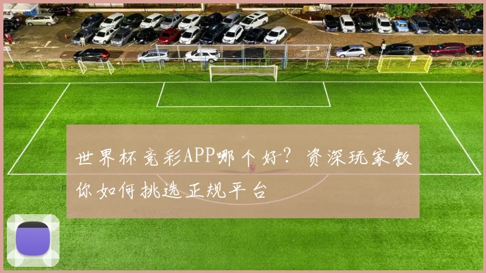 世界杯竞彩APP哪个好？资深玩家教你如何挑选正规平台