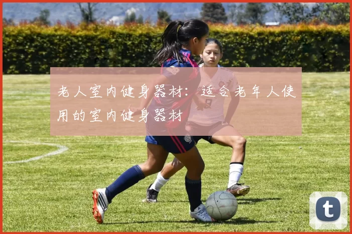 老人室内健身器材:适合老年人使用的室内健身器材