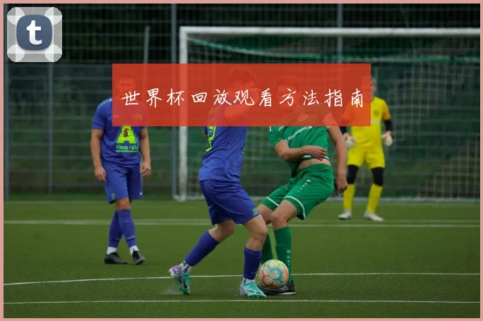 世界杯回放观看方法指南