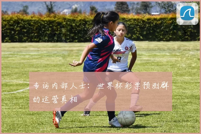 专访内部人士:世界杯彩票预测群的运营真相
