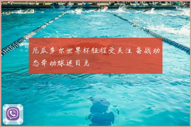 厄瓜多尔世界杯征程受关注 备战动态牵动球迷目光