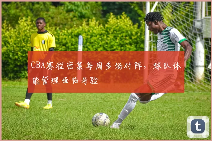 CBA赛程密集每周多场对阵,球队体能管理面临考验