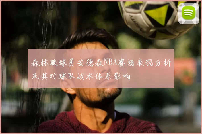 森林狼球员安德森NBA赛场表现分析及其对球队战术体系影响