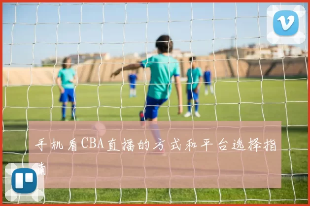 手机看CBA直播的方式和平台选择指南