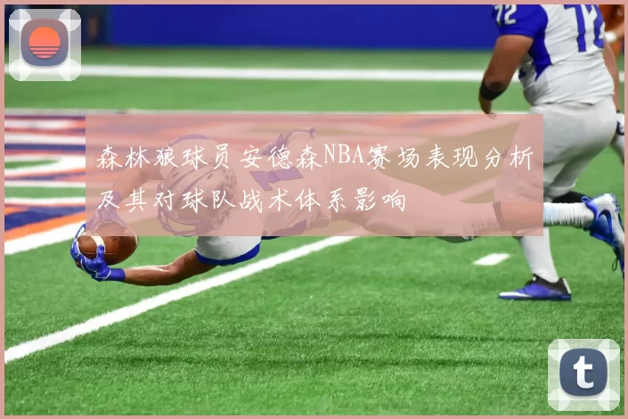 森林狼球员安德森NBA赛场表现分析及其对球队战术体系影响