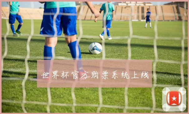 世界杯官方购票系统上线