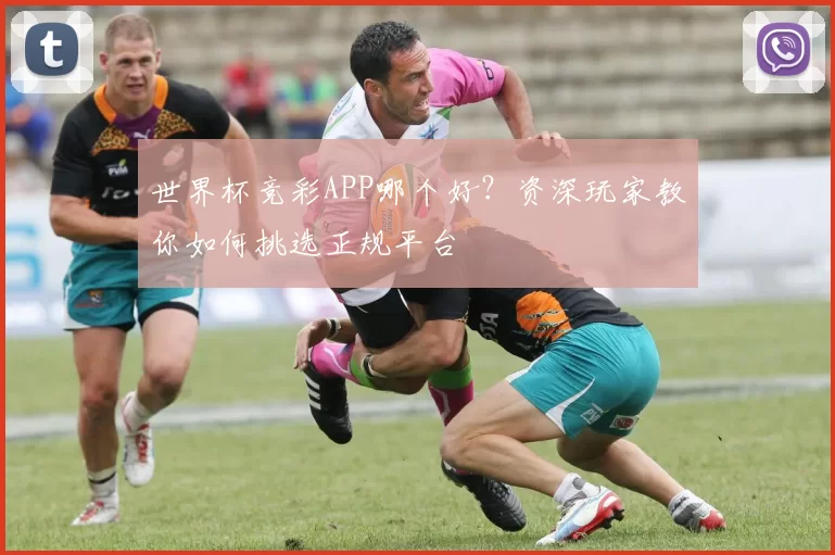 世界杯竞彩APP哪个好？资深玩家教你如何挑选正规平台