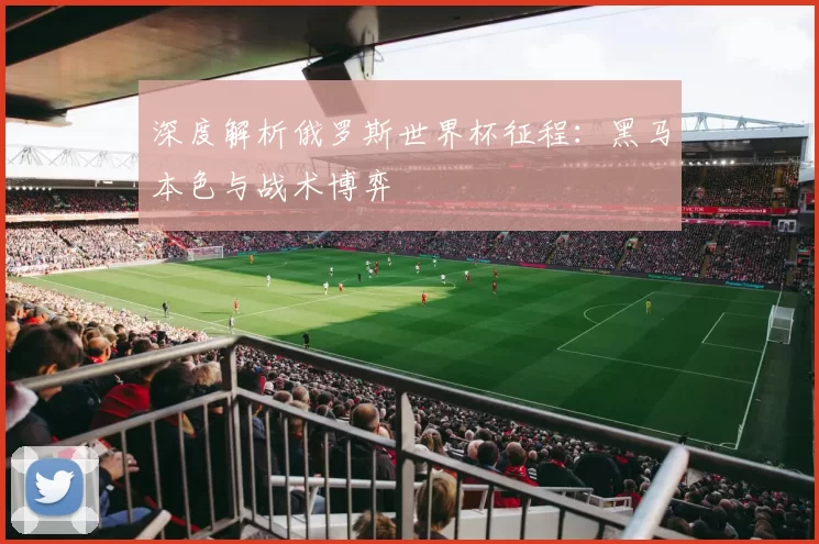 深度解析俄罗斯世界杯征程:黑马本色与战术博弈