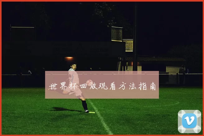 世界杯回放观看方法指南