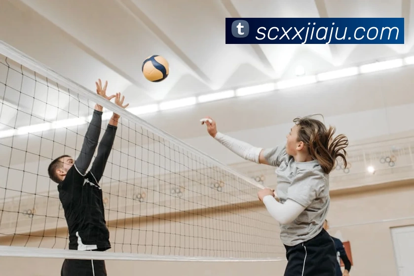 华体官网登录服务体系