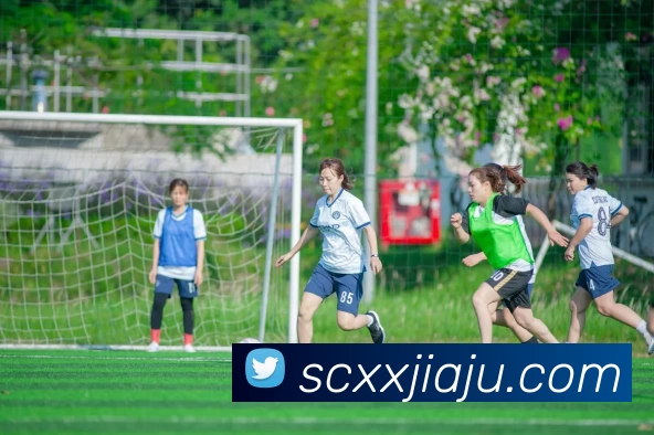 华体官网登录APP 体育赛事宣传图